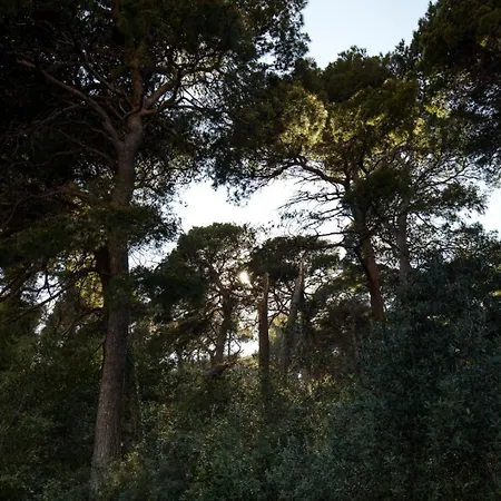 Lile 1 ゲストハウス ドゥブロブニク